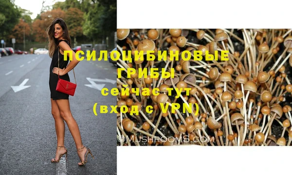 гидра Дмитриев