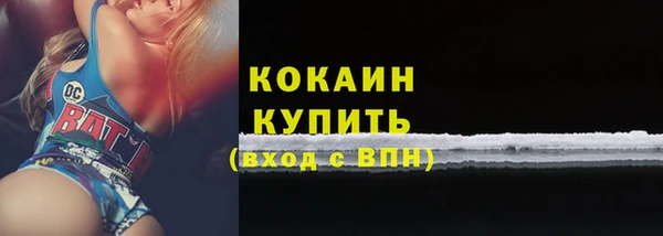 гидра Дмитриев